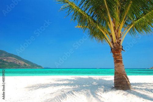 Fototapeta Naklejka Na Ścianę i Meble -  The Paradise on earth, coconut tree on white sand with blue sky and turquoise sea