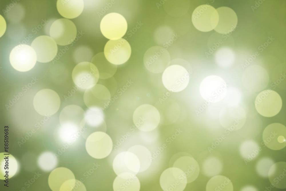 Obraz premium Natural forest bokeh