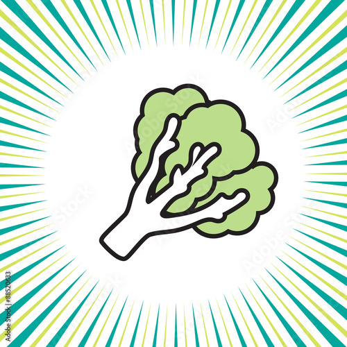 Vegetable  kale ,vector icon