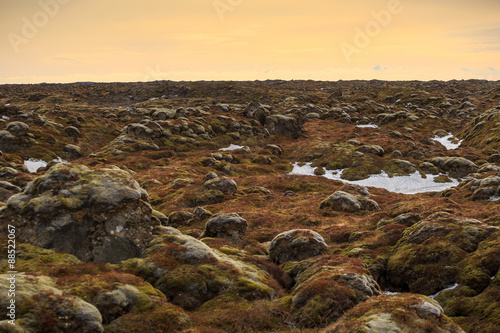 Wallpaper Mural Mossy lava rock Torontodigital.ca