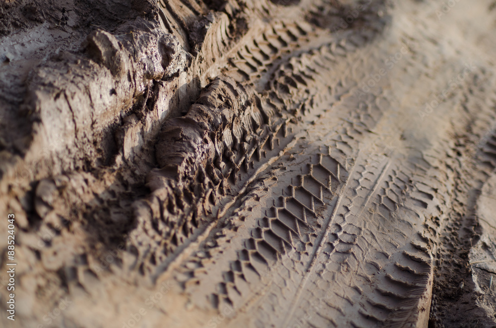 Obraz premium Medium CU motorcycle and car tracks in mud