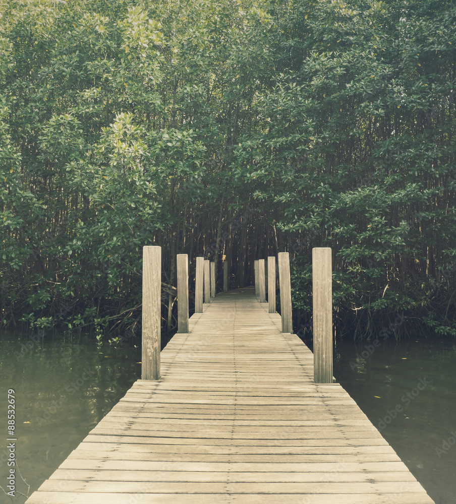 Obraz premium Long wood bridge in mangrove forest, Chanthaburi,Thailand