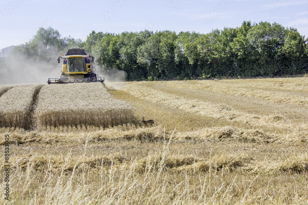 Obraz premium Moisson 03