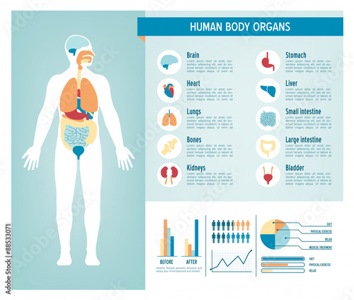 Human body infographics
