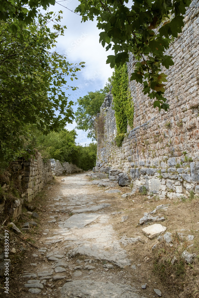 Dvigrad, medieval town in central Istria, Croatia. Dvigrad, medieval town in central Istria, Croatia.