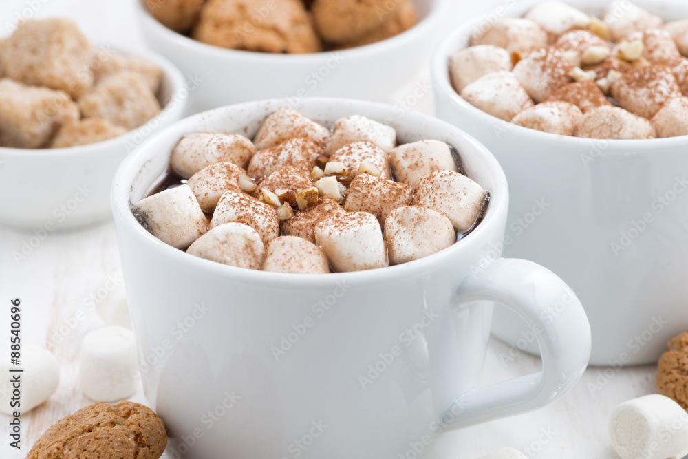 two cups of cocoa with marshmallow and cookies, closeup two cups of cocoa with marshmallow and cookies, closeup