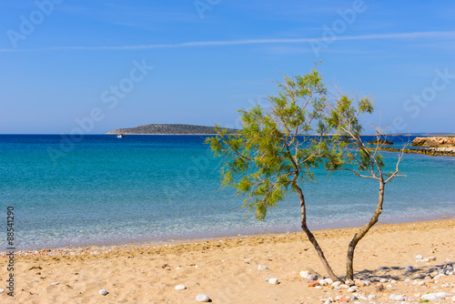 Beautiful beach, Paros island, Cyclades, Greece.