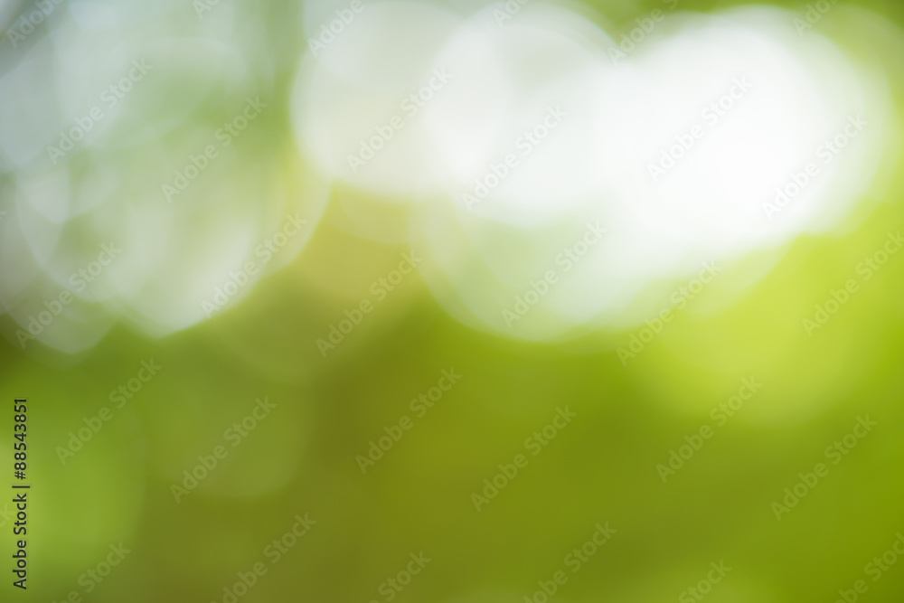Obraz premium Abstract out of focus with green nature