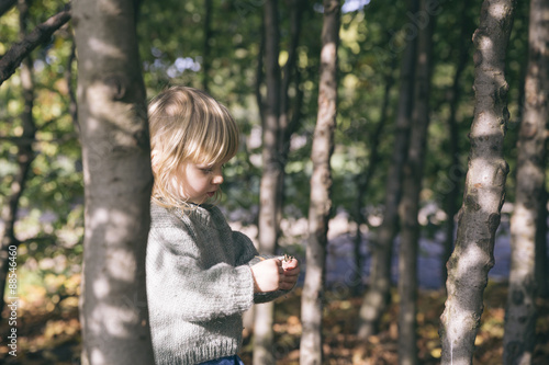 Toddler looking at autumn leaves