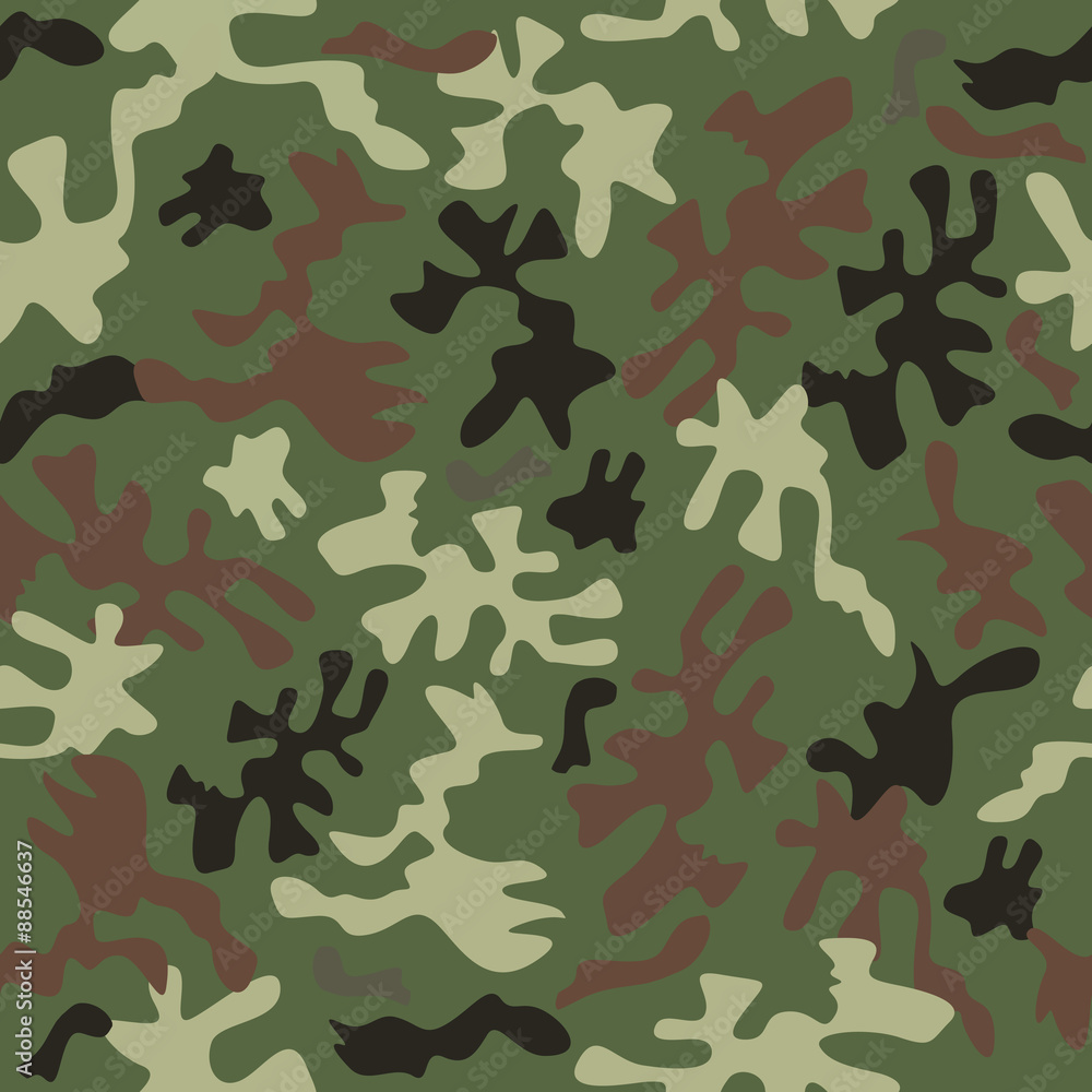 Fototapeta premium Camouflage pattern