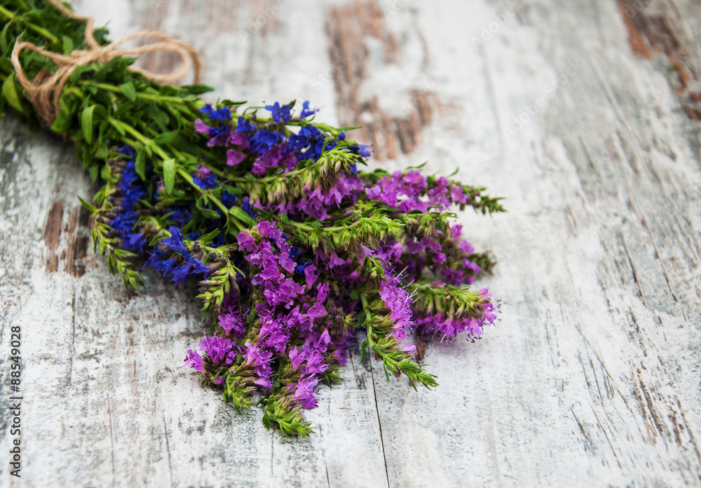 Pink and purple flowers