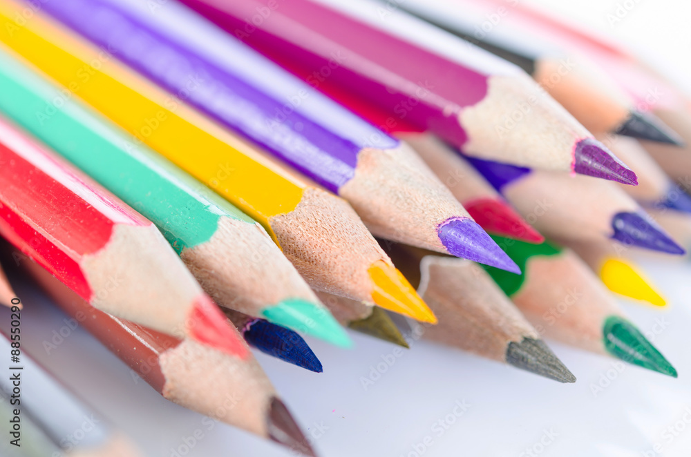 hedgehog out of color pencils hedgehog out of color pencils