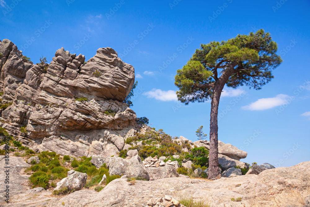 Nature of Corsica island, mountain landscape