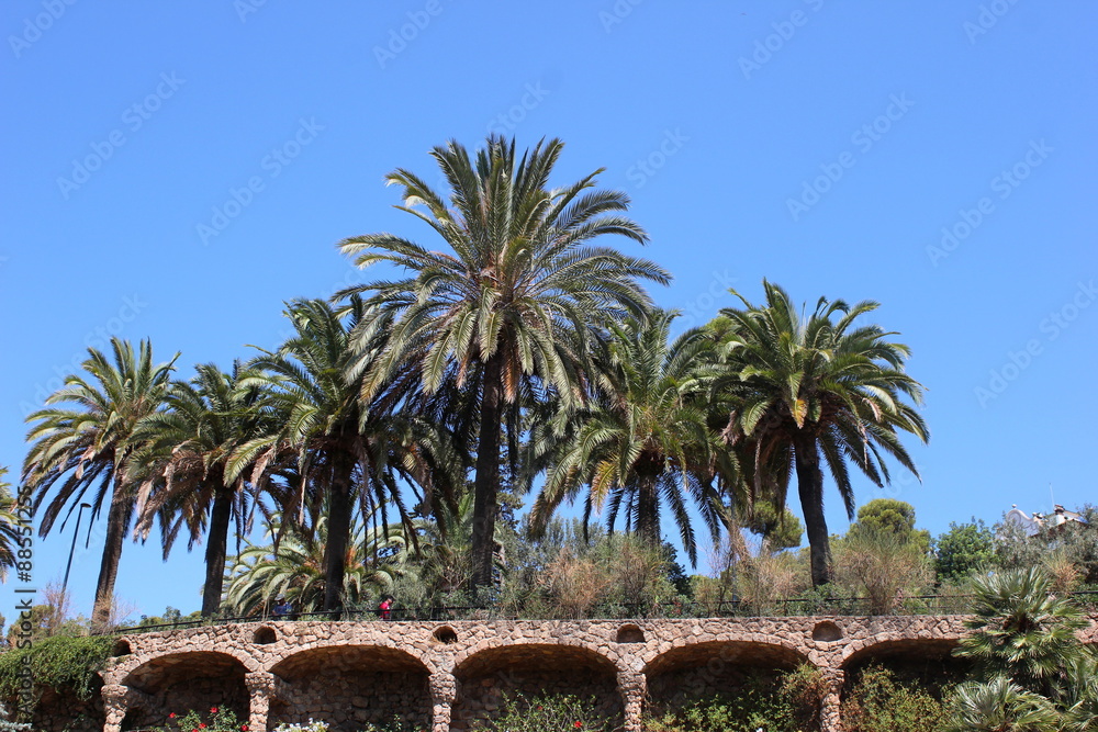 Ein Teil der Parkanlage im Park Güell in Barcelona Ein Teil der Parkanlage im Park Güell in Barcelona