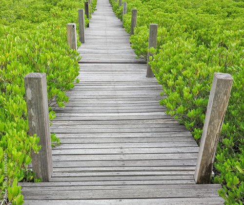 scenic and beautiful tourism trail in the woods