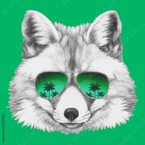 Prtrait of Fox with sunglasses. Vector isolated elements.