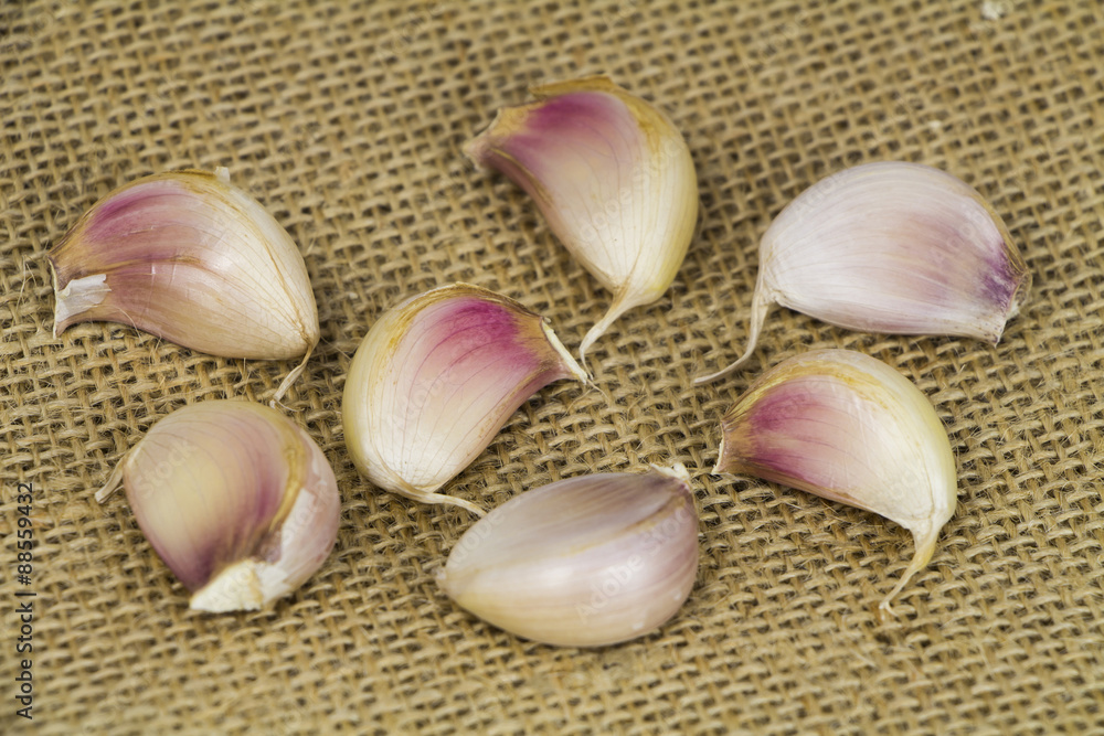 Garlic form Oganic farm on sack background