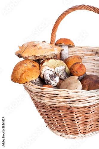 Basket with different mushrooms from forest