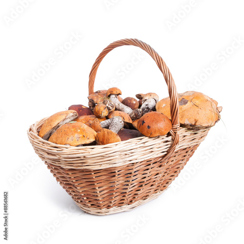 Basket with different mushrooms from forest