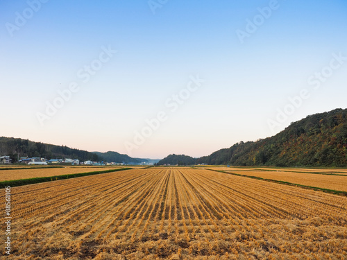 稲刈り後の田園風景