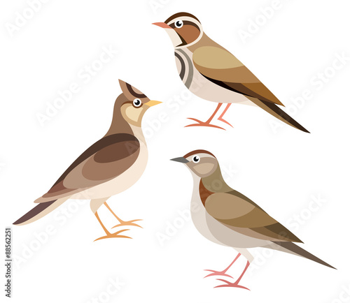 Stylized Birds - Lark, Skylark, Woodlark