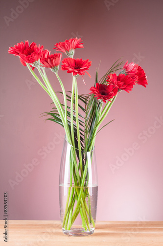 Gerbera in a glass vase