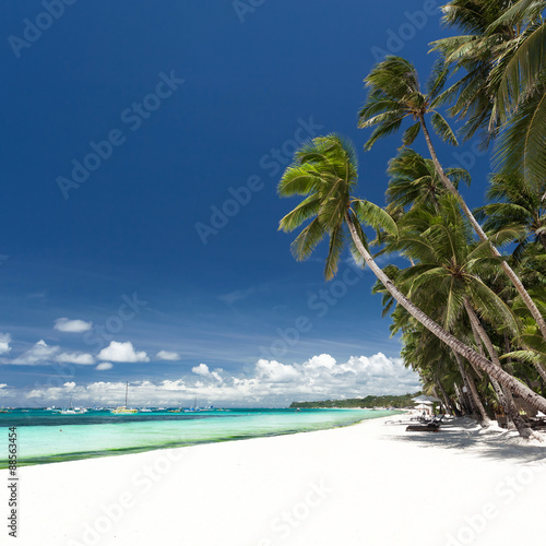 Fototapeta Naklejka Na Ścianę i Meble -  Tropical beach with palm and white sand