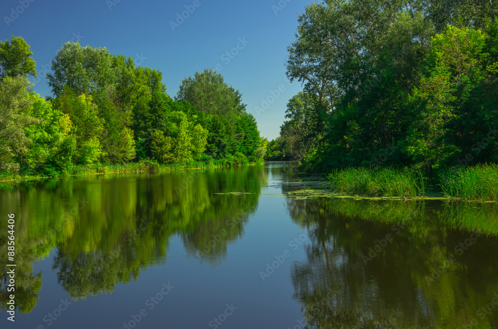 Sunny day on a calm river in summer
