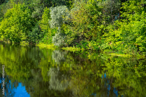 Sunny day on a calm river in summer