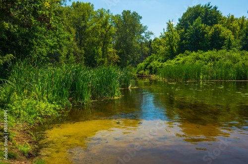 Sunny day on a calm river in summer