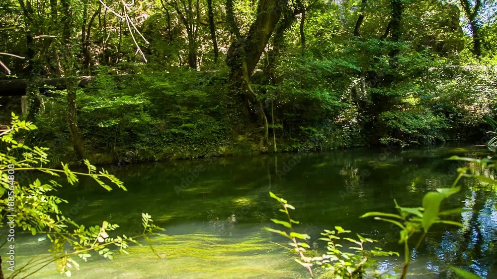 Mountain River Flowing In Picturesque Green Forest Mountain River Flowing In Picturesque Green Forest