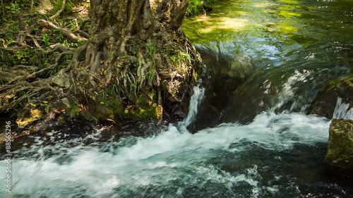 Mountain Stream Flowing In Green Forest