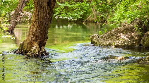 Mountain River Slowing Moving Among Greenery And Stones