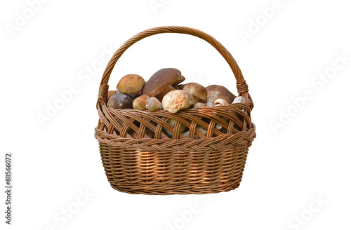 basket full of mushrooms