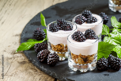 Homemade granola with yogurt and blackberry in glass bowls, heal