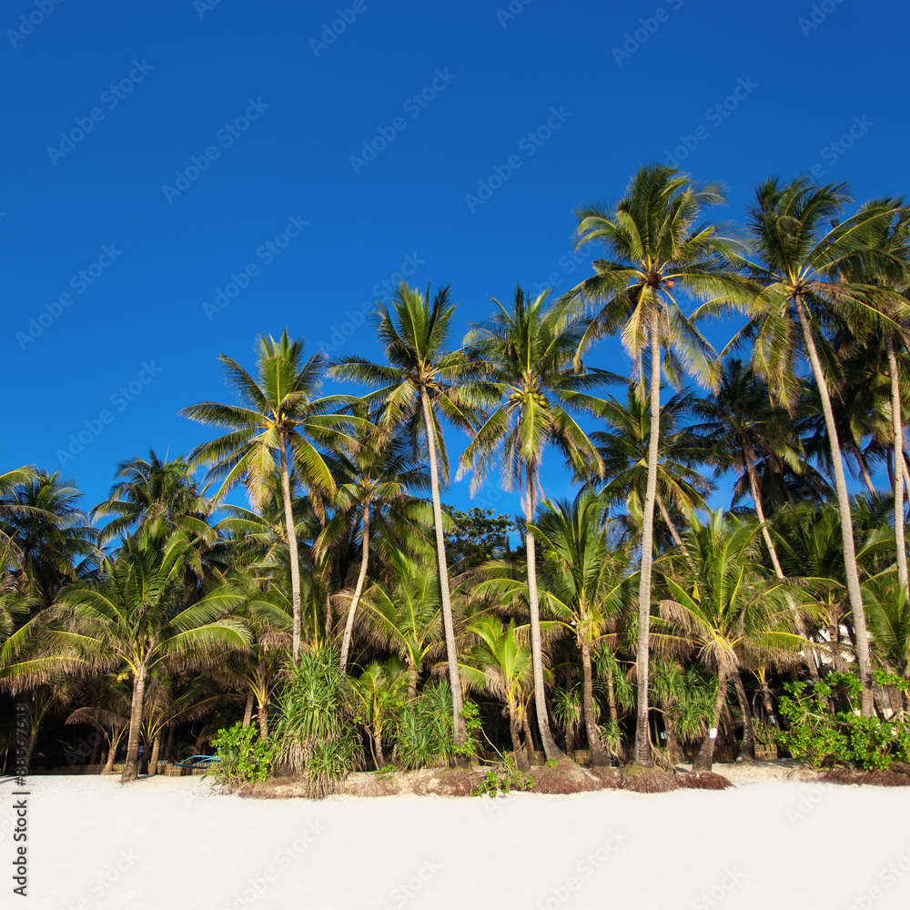 Fototapeta premium White beach