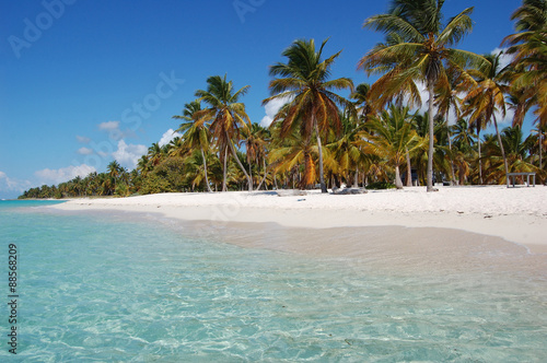Republica Dominicana  Playa de aguas cristalinas y palmeras © Veronica Cechini