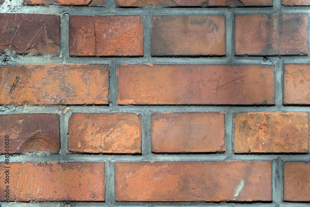 Obraz premium Ziegelsteinwand