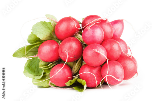 Pile of garden radish