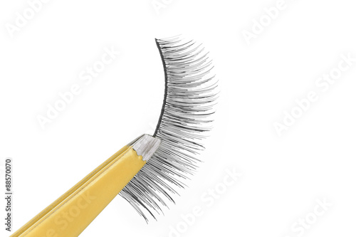 False lashes and yellow pincers