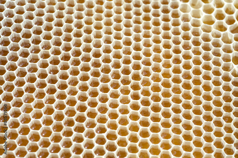 Honigwaben, waben, Bienenwachs, wachs, Bienenstock Honigwaben, waben, Bienenwachs, wachs, Bienenstock