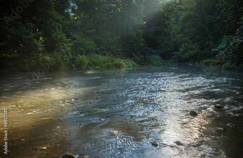 Beautiful landscape with summertime forest and river photo