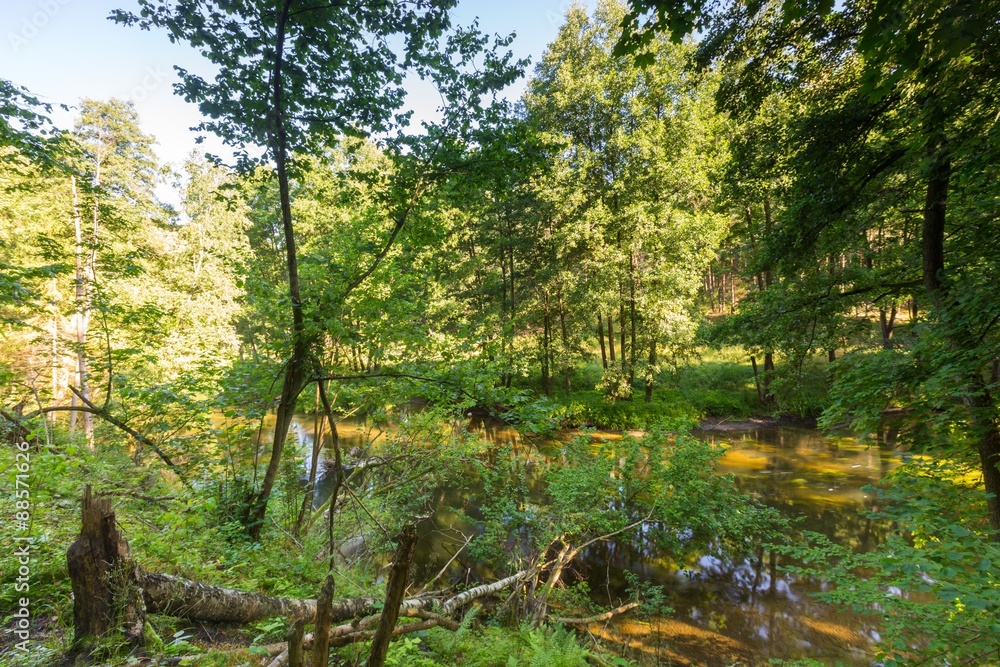 Beautiful landscape with summertime forest and river Beautiful landscape with summertime forest and river