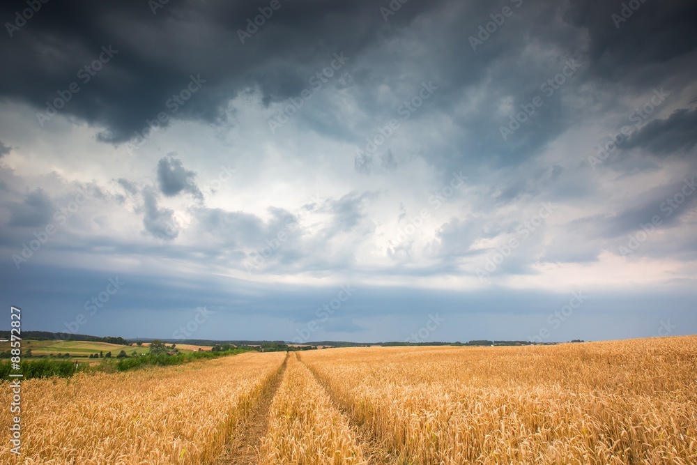 Stormy sky over field