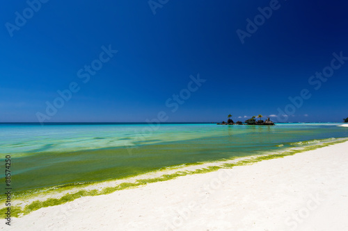 Seaweed in turquoise sea  water plant on Boracay island