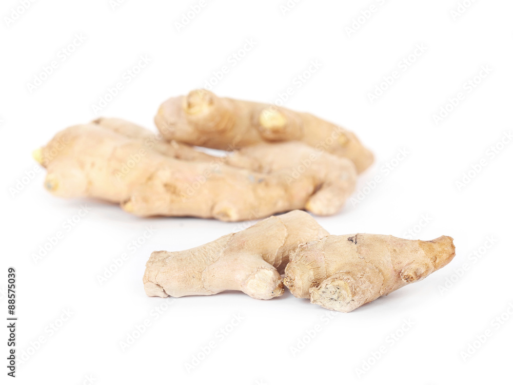 Ginger Ginger