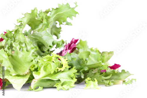 Salad leafs