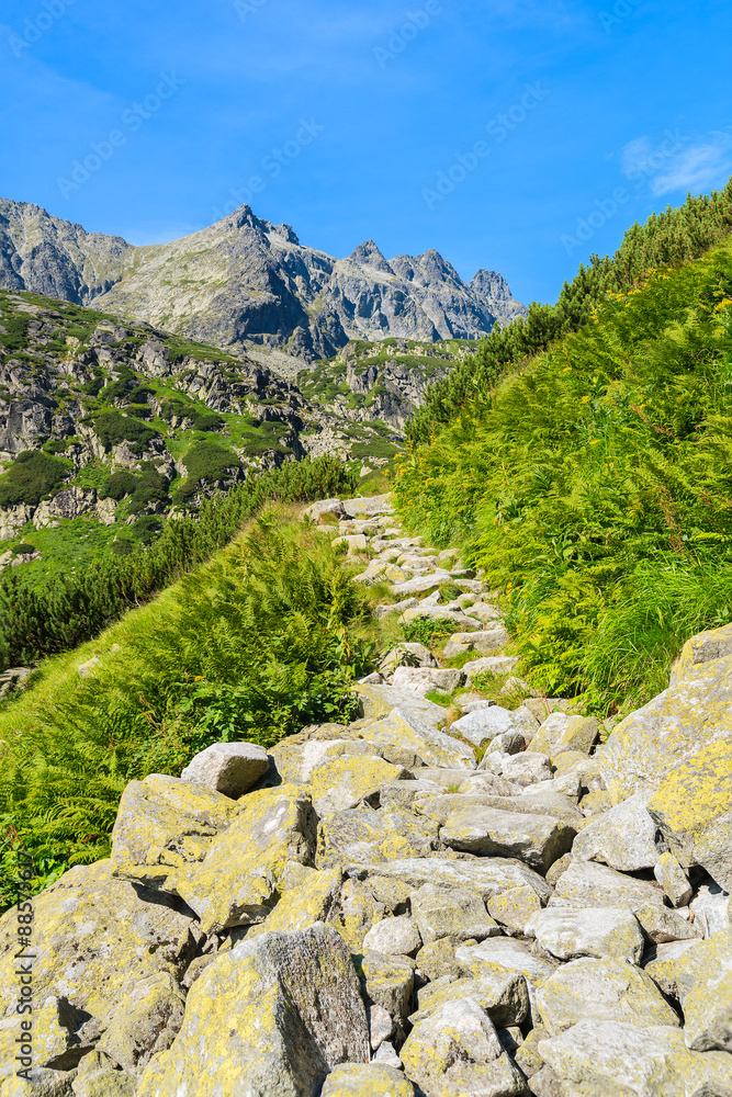Hiking trail to Starolesna valley in summer landscape of High Tatra Mountains, Slovakia