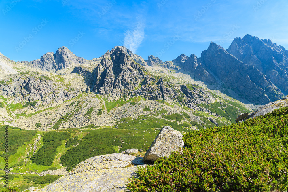 View of green Starolesna valley in summer landscape of High Tatra Mountains, Slovakia