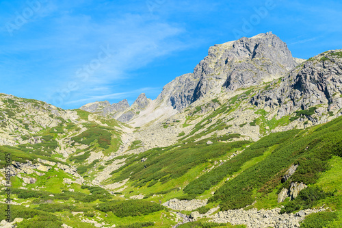 Green Starolesna valley in summer landscape of High Tatra Mountains, Slovakia